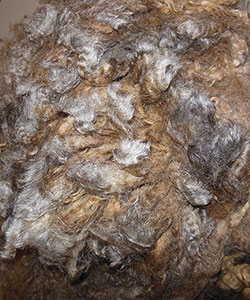 Wyncrest Fleeces
