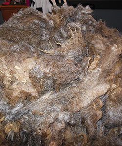 Wyncrest Fleeces