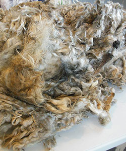 Wyncrest Fleeces