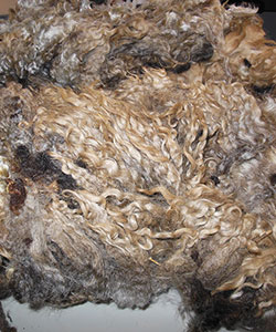 Wyncrest Fleeces