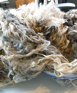 Wyncrest Fleeces