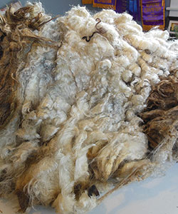 Wyncrest Fleeces