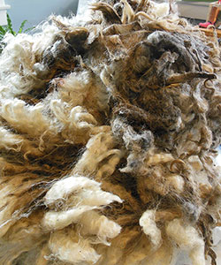 Wyncrest Fleeces