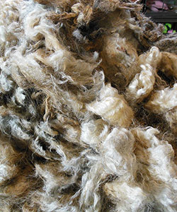 Wyncrest Fleeces