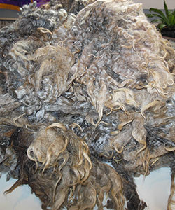 Wyncrest Fleeces