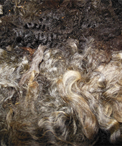 Wyncrest Fleeces