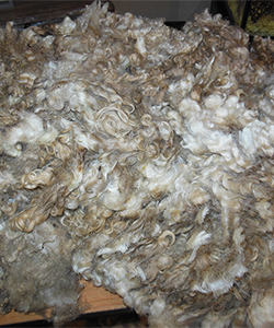 Wyncrest Fleeces