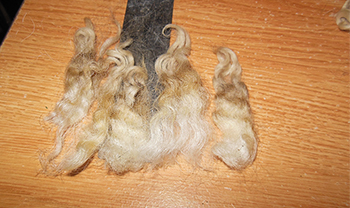 Wyncrest Fleeces