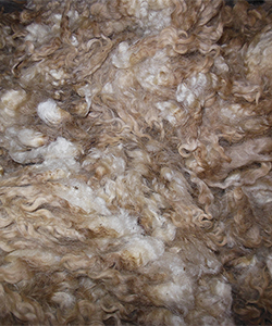 Wyncrest Fleeces