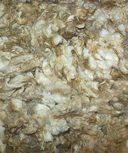Wyncrest Fleeces