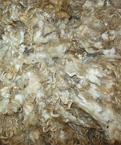 Wyncrest Fleeces