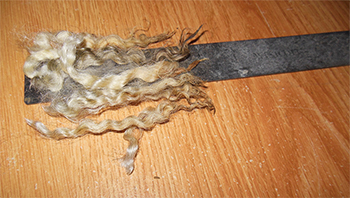 Frappe Fleece