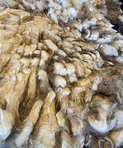 Wyncrest Fleeces