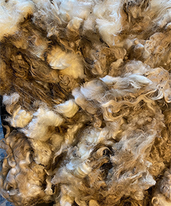 Wyncrest Fleeces