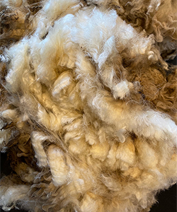 Wyncrest Fleeces