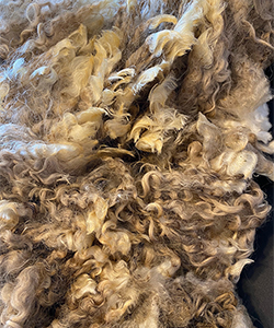 Wyncrest Fleeces