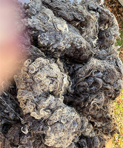 Wyncrest Fleeces