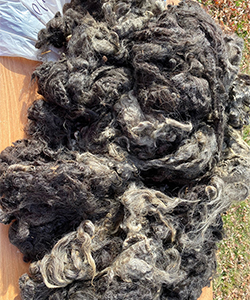 Wyncrest Fleeces