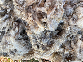 Wyncrest Fleeces