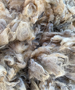 Wyncret Fleeces