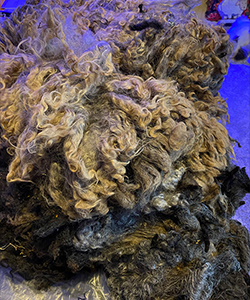 Wyncrest Fleeces