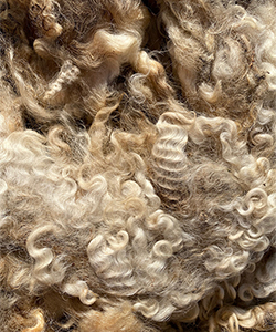 Wyncrest Fleeces