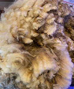 Wyncrest Fleeces