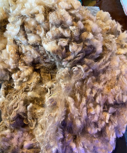 Wyncrest Fleeces