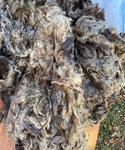 Wyncrest Fleeces