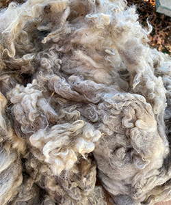 Wyncrest Fleeces