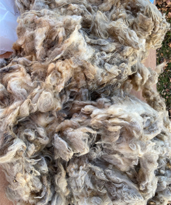 Wyncrest Fleeces
