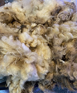 Wyncrest Fleeces
