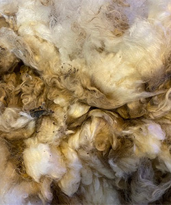 Wyncrest Fleeces