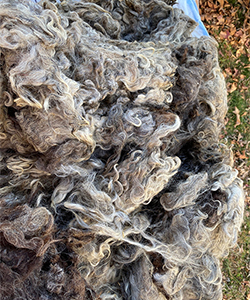 Wyncrest Fleeces