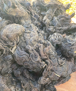 Wyncrest Fleeces