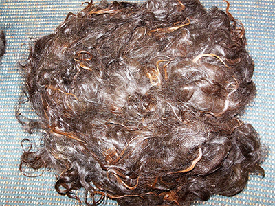 Llama Fleece