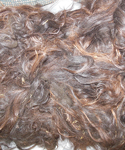 Black Llama Fleece
