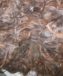 Black Llama Fleece