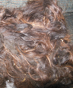 Black Llama Fleece