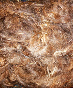 llama Fleece