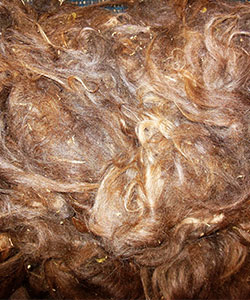 Llama Fleece