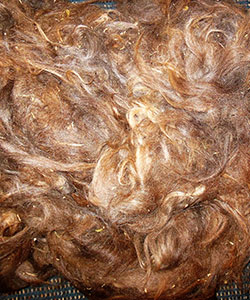 Llama Fleece