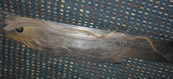 Grey Llama Fleece