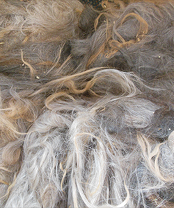 Gray Llama Fleece