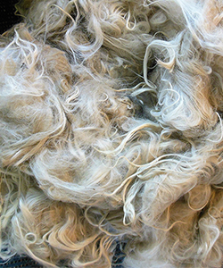 Llama Fleece - Off White
