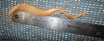 Llama Fleece -Red
