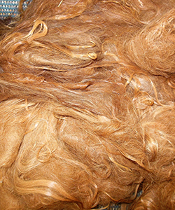Llama Fleece - Red