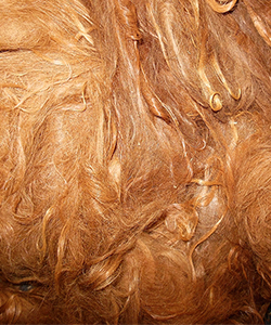 Llama Fleece - Red