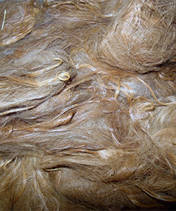 Llama Fleece - Red