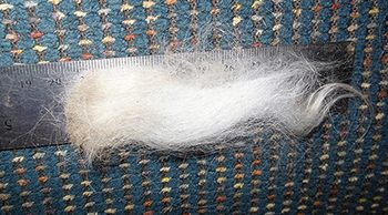 Llama Fleece
